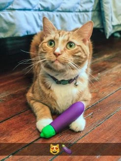 Eggplant Emojibator Vibrator 11 Eggplant Emojibator Vibrator -Vibrators Store Sale itk8yjcqhpaawc4slzw7