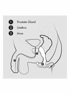 Aneros Helix Syn Trident 5 Aneros Helix Syn Trident -Vibrators Store Sale ivgu82sehvganelyhd1h