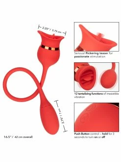 Cal Exotics French Kiss Casanova -Vibrators Store Sale puhlpfr2fhed1wykgfxk