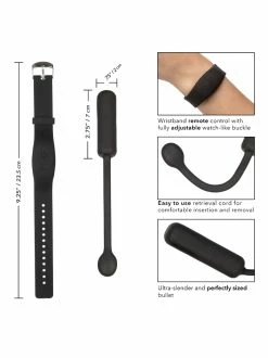 Cal Exotics Wristband Remote Petite Bullet Vibrator 11 Cal Exotics Wristband Remote Petite Bullet Vibrator -Vibrators Store Sale so3ctuafubigitekkiaz