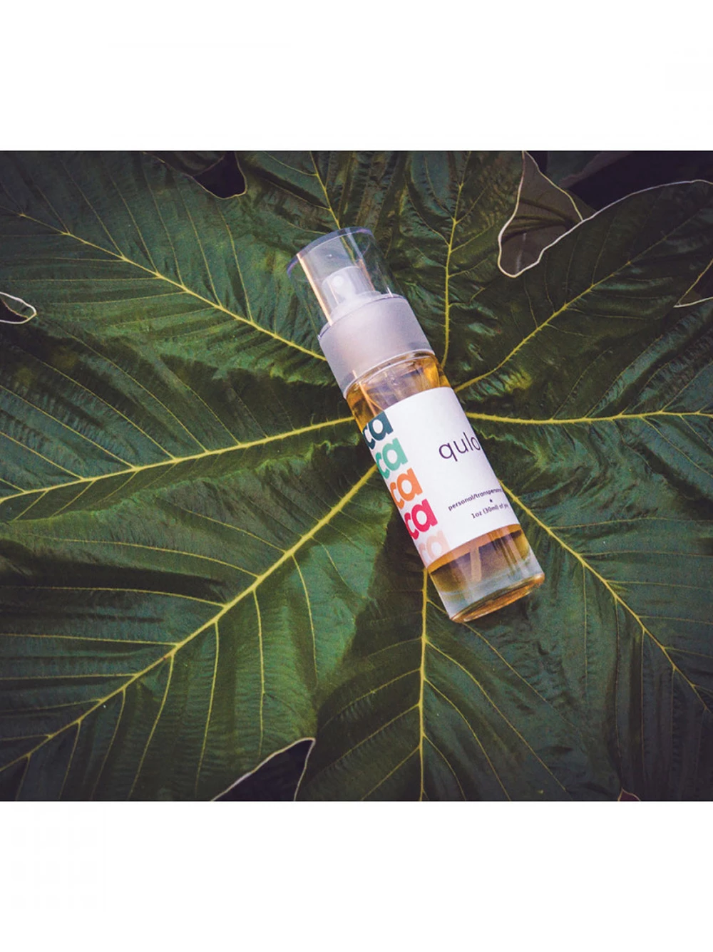 Toca QULO Organic CBD Lubricant 3 Toca QULO Organic CBD Lubricant - Image 3